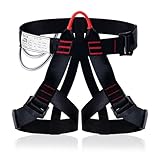 Image of GothicBride 2 rings climbing harness