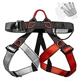 Picture of a climbing harness