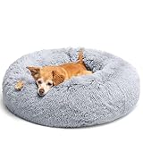 Image of LUOJINYI cwo dog bed