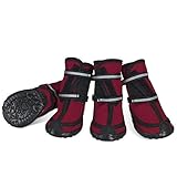 Image of Dociote Dociote_600257EU pair of dog boots