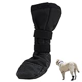 Image of ZesNxj Y001XZHCLYZXXGE pair of dog boots