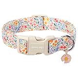 Image of ARING PET dog collar