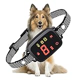 Image of Mapneng H-FFXQ-001 dog collar