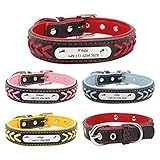 Image of Gredstar  dog collar