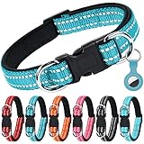 Image of AUAUY M1-3338656 dog collar