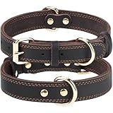 Image of Joytale CT001-BR-M dog collar