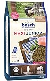 Image of bosch TIERNAHRUNG 52020015 dog food for puppies