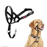 Image of Company of Animals 11330ZE1 dog harness