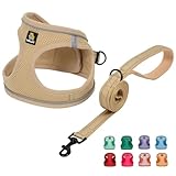 Image of BELLA & PAL H004 dog harness