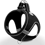 Image of Joytale J-XBD005-BLACK-S dog harness