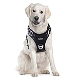 Image of Funfox FFGH00001-L dog harness