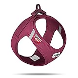 Another picture of a dog harness