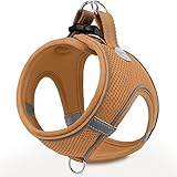 Picture of a dog harness