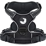 Another picture of a dog harness