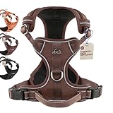 Image of FREUDENTIER Clyde Chocolate Edition dog harness