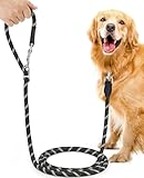 Picture of a dog leash