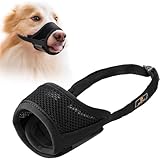 Another picture of a dog muzzle