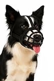 Image of Flamingo 524776 dog muzzle