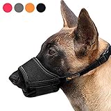 Picture of a dog muzzle