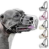Image of BRONZEDOG 2906 dog muzzle