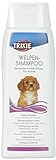Another picture of a dog shampoo