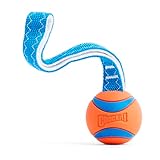 Image of Chuckit! 231201 dog toy