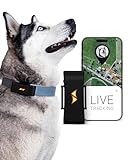 Image of PAJ GPS Schwarz dog tracker