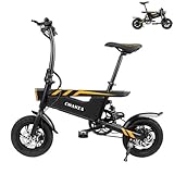 Image of COASTA T18 electric bike