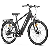 Image of Foride Roamer 1 electric bike