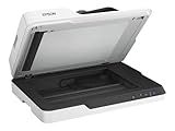 Image of Epson B11B239401 flatbed scanner