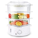 Another picture of a food steamer