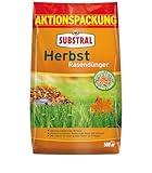 Image of Substral 8243 lawn fertiliser