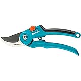 Another picture of a secateurs