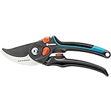 Picture of a secateurs