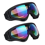 Picture of a pair of ski goggles