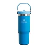 Image of STANLEY 10-09993-313 water bottle