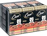 Image of Cesar 433436 wet dog food