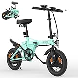 immagine di ESKUTE F100 bicicletta elettrica