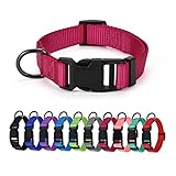 immagine di AUDWUD AWD-COLLAR-Very berry-S collare per cani