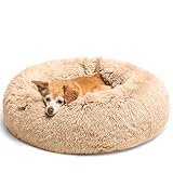 immagine di LUOJINYI cwo-kq-01 cuccia per cani di piccola taglia