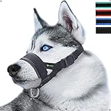 immagine di ILEPARK DM-Dog Muzzle museruola per cani