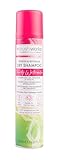immagine di Brushworks  shampoo secco