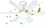 immagine di BuzzoXerex 1 ventilatore da soffitto