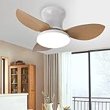 immagine di EKDADL 1096 ventilatore da soffitto