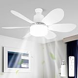 Image of RuiDay 1232650 ceiling fan