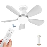 Image of Ocetea Ocetea ceiling fan