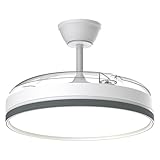 Image of Airwit F20021 ceiling fan