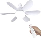 Image of SWBSLL J043 ceiling fan