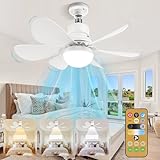 Image of BomKra 1 ceiling fan
