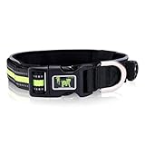 Image of DOINEUFL Halsband Hund1 dog collar